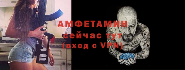 СК Алексин
