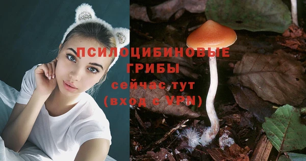 СК Алексин