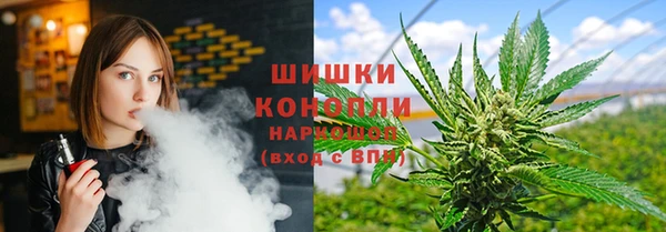 ГАЛЛЮЦИНОГЕННЫЕ ГРИБЫ Рославль