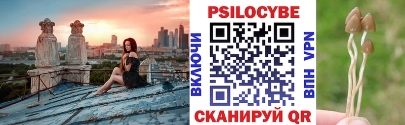 дарнет шоп  Навашино  Галлюциногенные грибы прущие грибы 